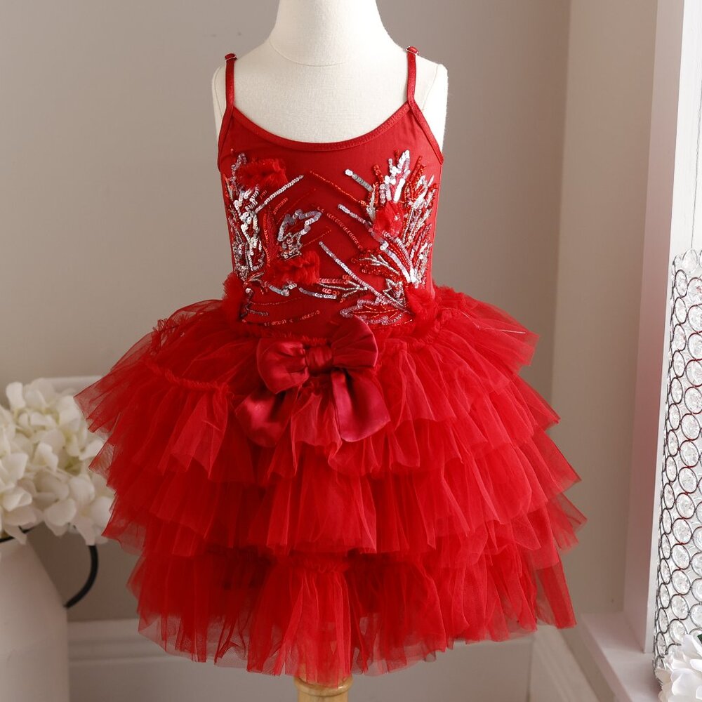 Tutu Du Monde Red Tutu Tulle Dress Silver Sequins Special Occasion Portrait